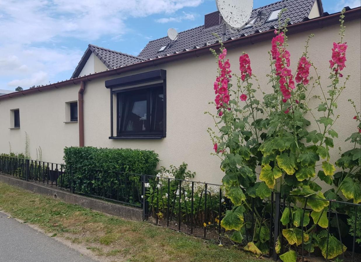 Ferienhaus An Der Ostsee Rerik Esterno foto